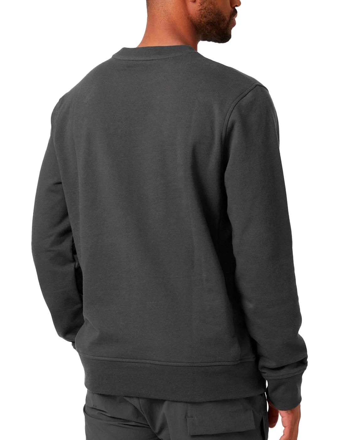Sudadera Helly Hansen Nord Graphic Gris